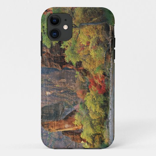 Herbstblätterung entlang der Jungfrau bei Tor Case-Mate iPhone Hülle (Rückseite)
