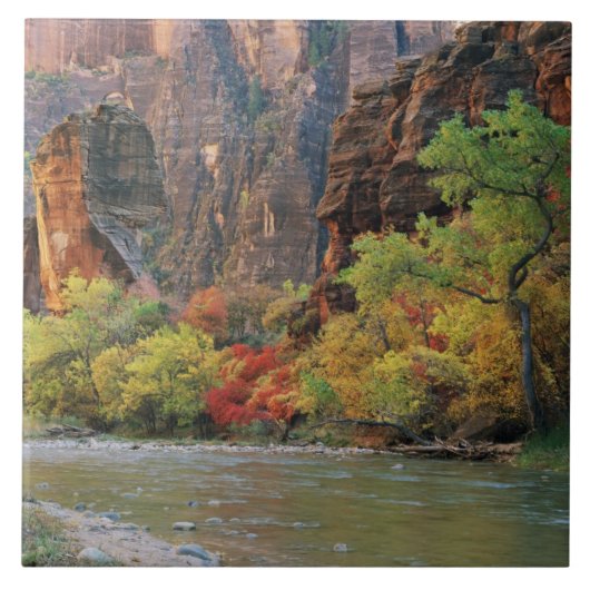 Herbstblätterung entlang der Jungfrau bei Tor Fliese (Vorderseite)