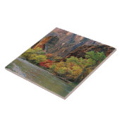 Herbstblätterung entlang der Jungfrau bei Tor Fliese (Seite)