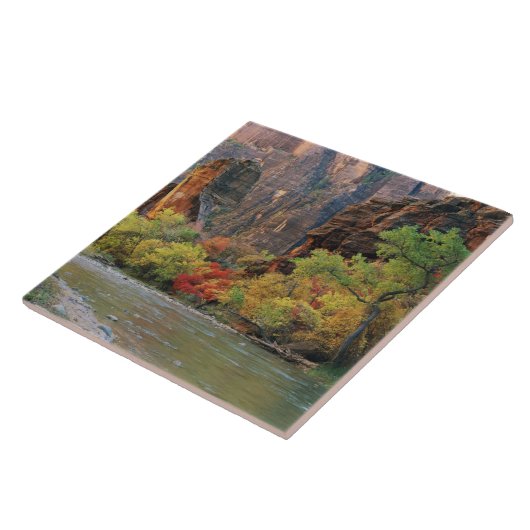 Herbstblätterung entlang der Jungfrau bei Tor Fliese (Seite)