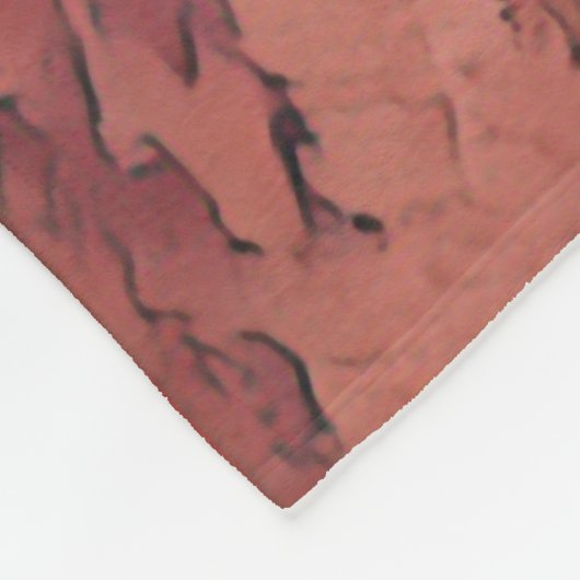 Herbstblätterung im Park Fleecedecke (Ecke)