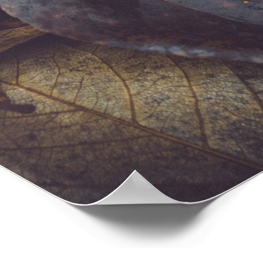 Herbstblätterung Poster (Ecke)