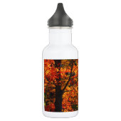 Herbstblätterung Trinkflasche (Links)