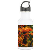 Herbstblätterung Trinkflasche (Vorderseite)