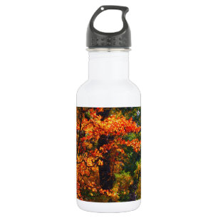 Herbstblätterung Trinkflasche