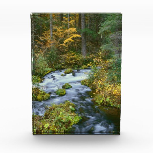 Herbstblätterung und Douglas Fir Border Roaring Ri Fotoblock (Vorderseite)