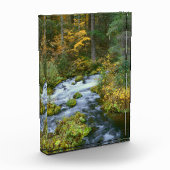 Herbstblätterung und Douglas Fir Border Roaring Ri Fotoblock (Links)