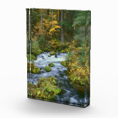 Herbstblätterung und Douglas Fir Border Roaring Ri Fotoblock (Rechts)