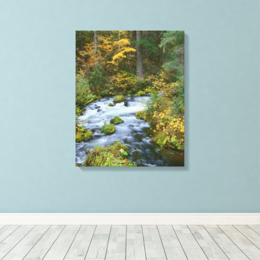 Herbstblätterung und Douglas Fir Border Roaring Ri Leinwanddruck (Insitu (Holzboden))