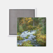 Herbstblätterung und Douglas Fir Border Roaring Ri Magnet (Vorderseite/Rückseite)