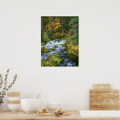 Herbstblätterung und Douglas Fir Border Roaring Ri Poster (Küche)