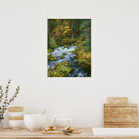 Herbstblätterung und Douglas Fir Border Roaring Ri Poster (Küche)