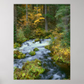 Herbstblätterung und Douglas Fir Border Roaring Ri Poster (Vorne)