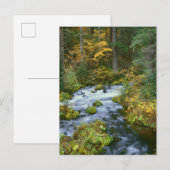 Herbstblätterung und Douglas Fir Border Roaring Ri Postkarte (Vorne/Hinten)