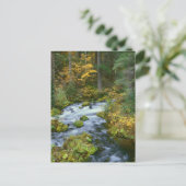 Herbstblätterung und Douglas Fir Border Roaring Ri Postkarte (Stehend Vorderseite)