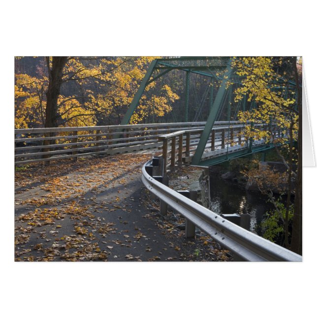 Herbstblätterung und eine Brücke über die Miller (Vorderseite (Horizontal))