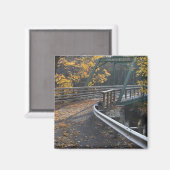 Herbstblätterung und eine Brücke über die Miller Magnet (Vorderseite/Rückseite)