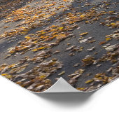 Herbstblätterung und eine Brücke über die Miller Poster (Ecke)