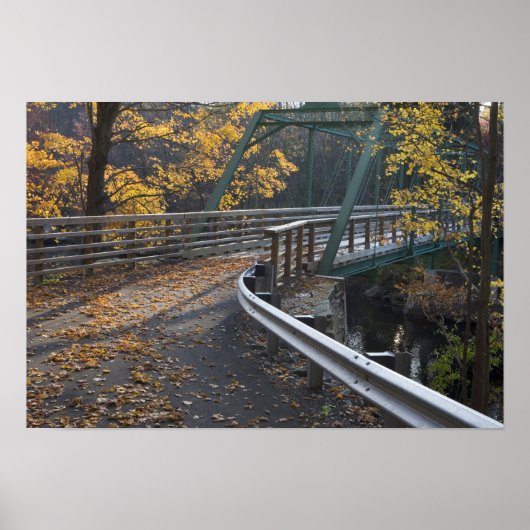 Herbstblätterung und eine Brücke über die Miller Poster (Vorne)