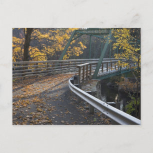 Herbstblätterung und eine Brücke über die Miller Postkarte