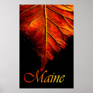 Herbstblattposter   Herbstblattposter Poster