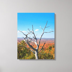 Herbstblick auf dem Mount Bohemia Leinwanddruck