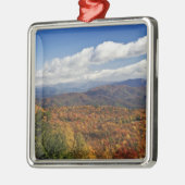 Herbstblick auf die südlichen Appalachen Ornament Aus Metall (Links)