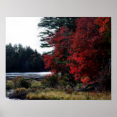 Herbstblüteneffekt nach Sumpf Poster (Vorne)