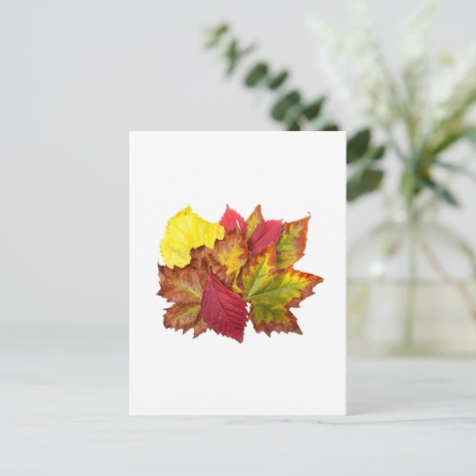 Herbstbrocken Postkarte (Stehend Vorderseite)
