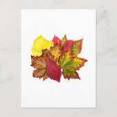 Herbstbrocken Postkarte (Vorderseite)