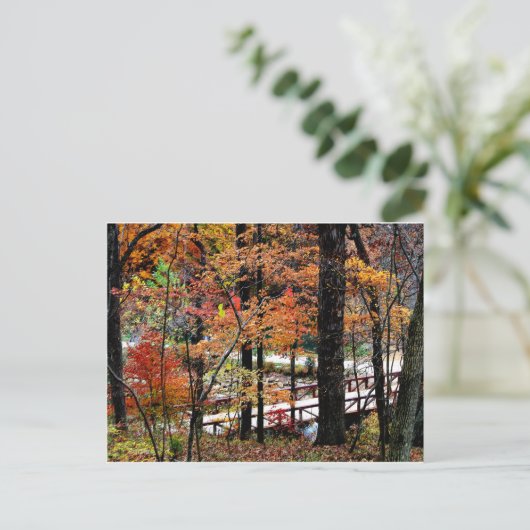 Herbstbrücke mit Fall Tree Blätter / Landschaftlic Postkarte (Stehend Vorderseite)