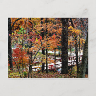 Herbstbrücke mit Fall Tree Blätter / Landschaftlic Postkarte