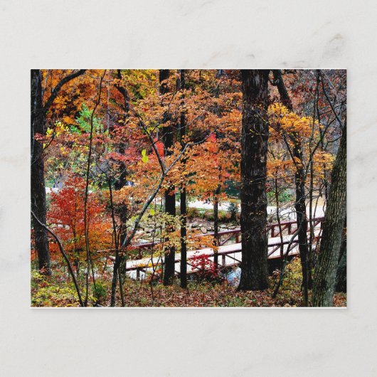 Herbstbrücke mit Fall Tree Blätter / Landschaftlic Postkarte (Vorderseite)