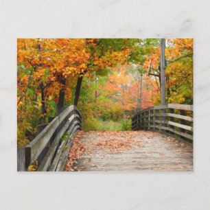 Herbstbrücke Postkarte