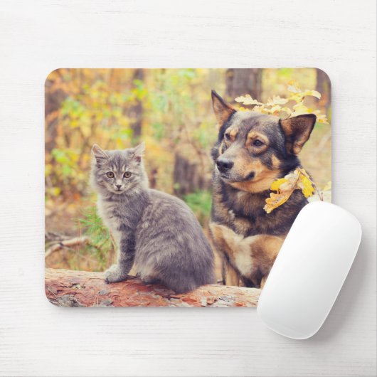 Herbstbuddies: Gray Kitten und Happy Puppy Mousepad (Mit Mouse)