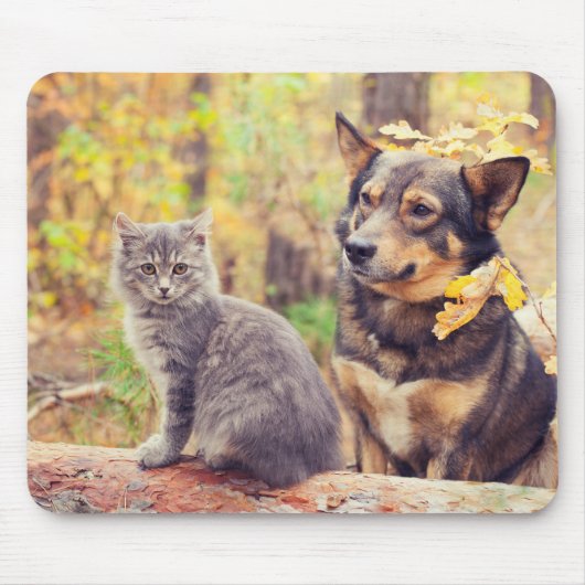 Herbstbuddies: Gray Kitten und Happy Puppy Mousepad (Vorne)
