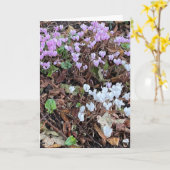 HerbstCyclamen unter Blätter Leere Karte (Gelbe Blume)