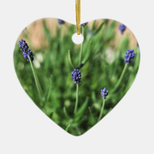 Herbstdekoration im provenzalischen Stil Keramik Ornament