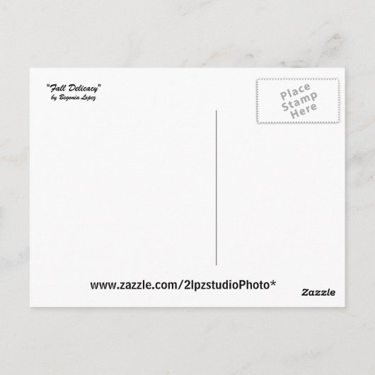 Herbstdelikt Postkarte (Rückseite)