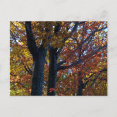 Herbstdelikt Postkarte (Vorderseite)