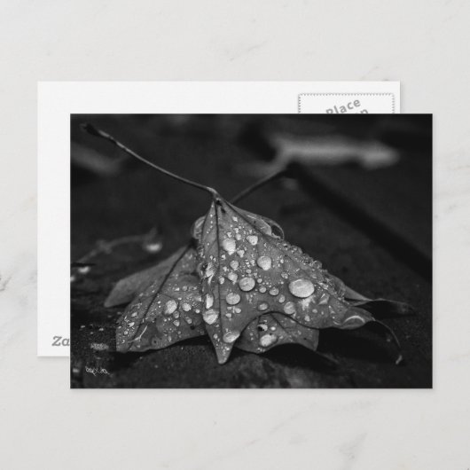 Herbstduschen Postkarte (Vorne/Hinten)