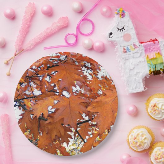 Herbsteiche Blätter floral Pappteller (Party)