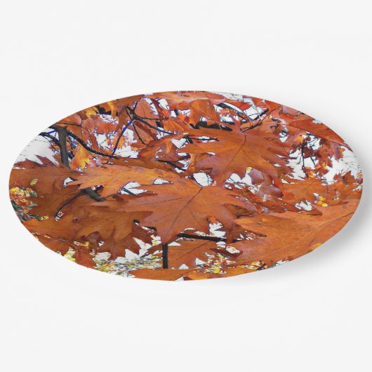 Herbsteiche Blätter floral Pappteller (Schrägansicht)