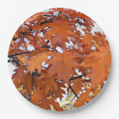 Herbsteiche Blätter floral Pappteller (Vorderseite)