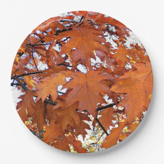 Herbsteiche Blätter floral Pappteller (Vorderseite)