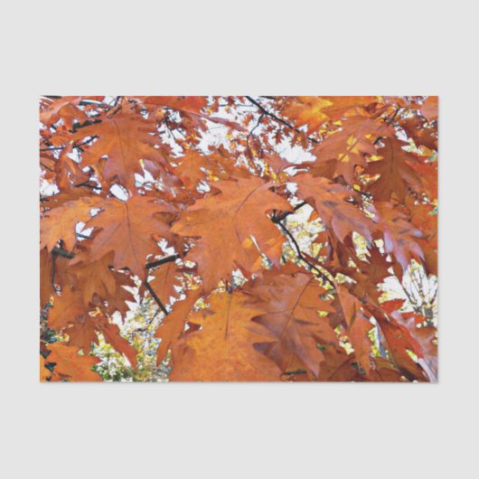 Herbsteiche Blätter floral Seidenpapier (Vorderseite)