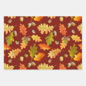 Herbsteiche Blätter und Acorns Natur (Vorderseite 2)