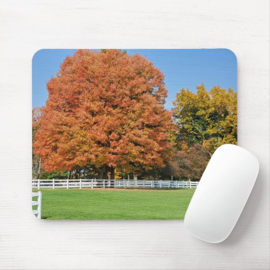 Herbsteiche Mousepad (Mit Mouse)