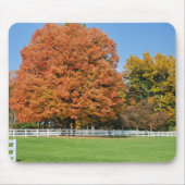 Herbsteiche Mousepad (Vorne)
