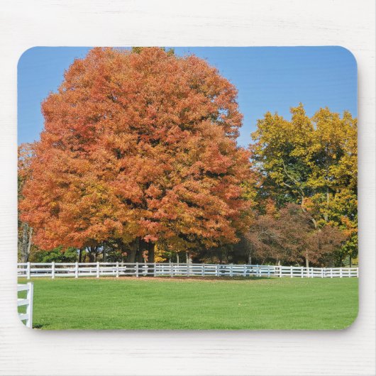 Herbsteiche Mousepad (Vorne)